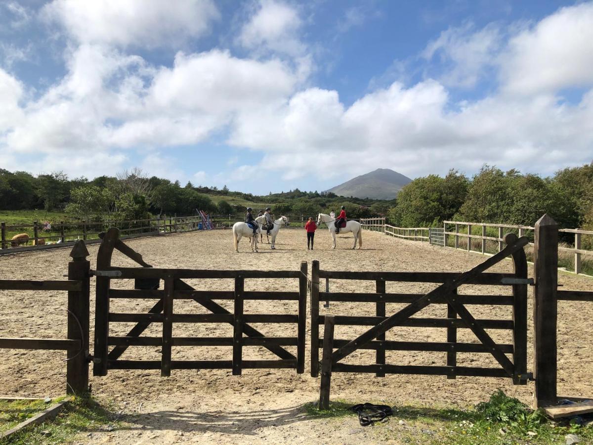 Letterfrack Farm Lodge House In Letterfrack Village Connemara Экстерьер фото